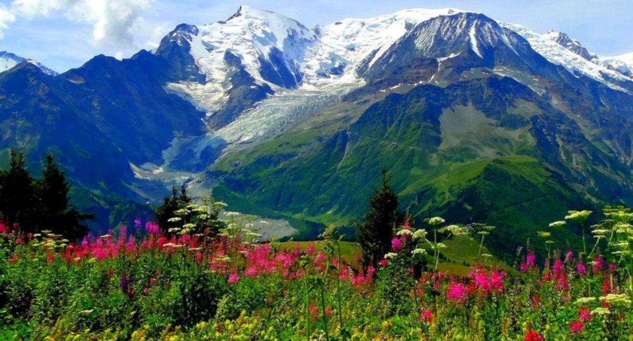VALLEY OF FLOWERS